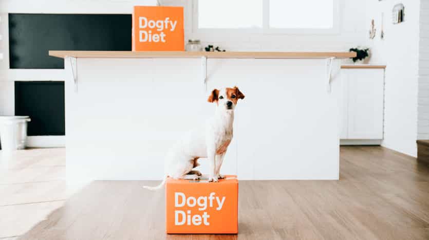 dogfy diet 03